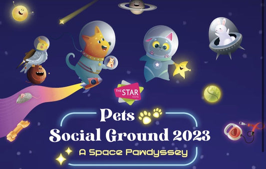 Unleash Your Creativity at Space Pawdyssey's Paint By Numbers Workshop