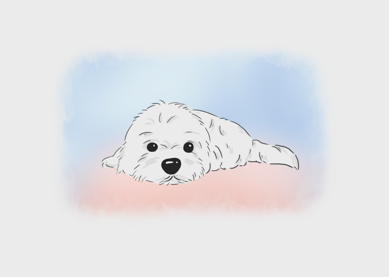 Digital Art (Storybook Style) Pet & Human Portraits