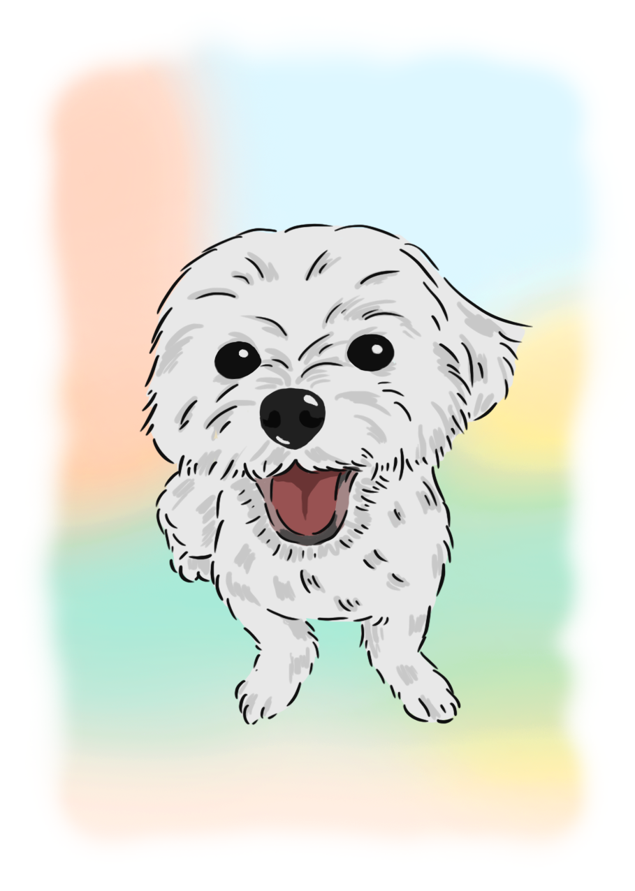 Digital Art (Storybook Style) Pet & Human Portraits