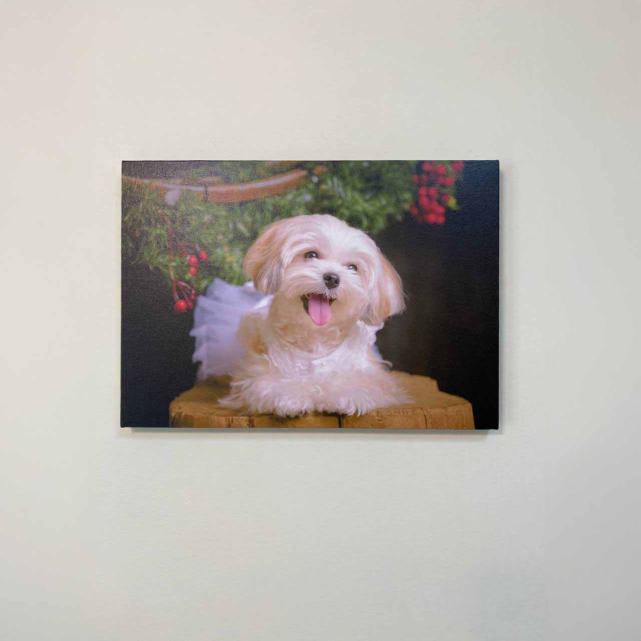 Custom Photo Canvas Print (Gift Voucher Redemption)