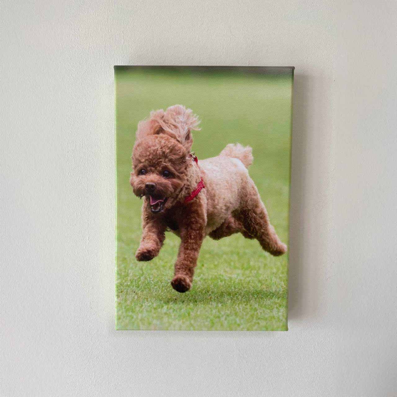 Custom Photo Canvas Print (Gift Voucher Redemption)