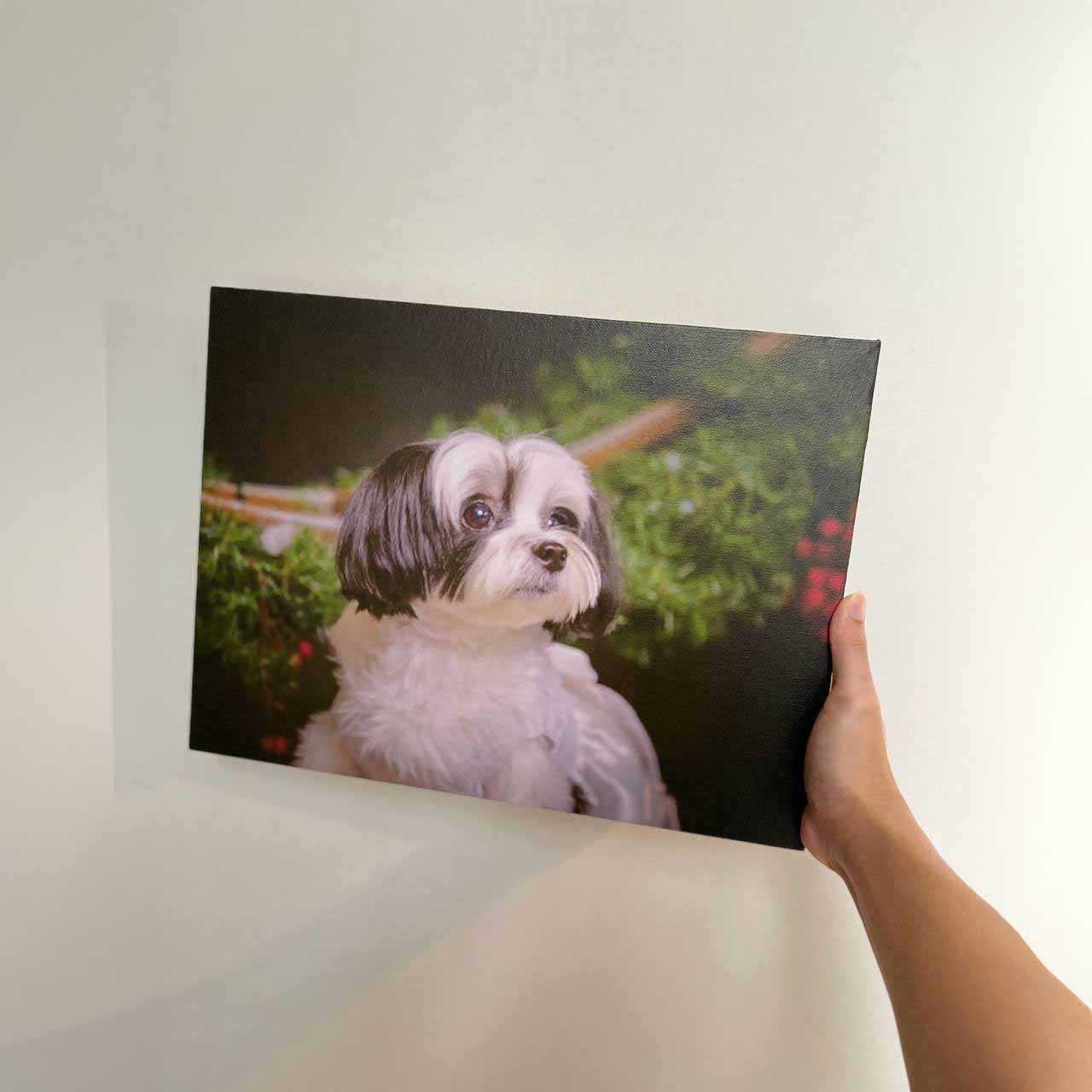 Custom Photo Canvas Print (Gift Voucher Redemption)