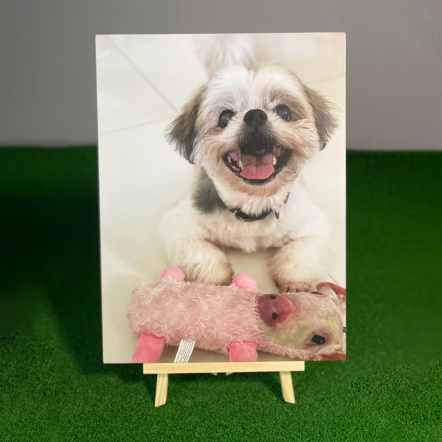 Custom Photo Canvas Print (Gift Voucher Redemption)