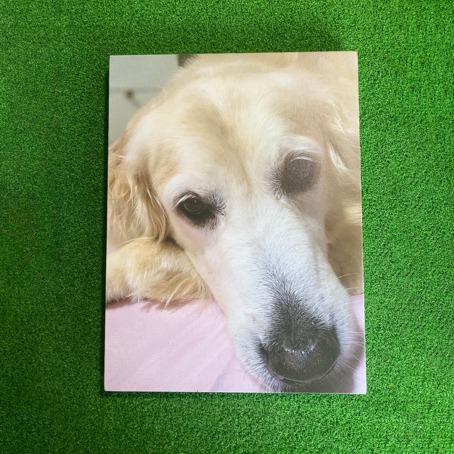 Custom Photo Canvas Print (Gift Voucher Redemption)