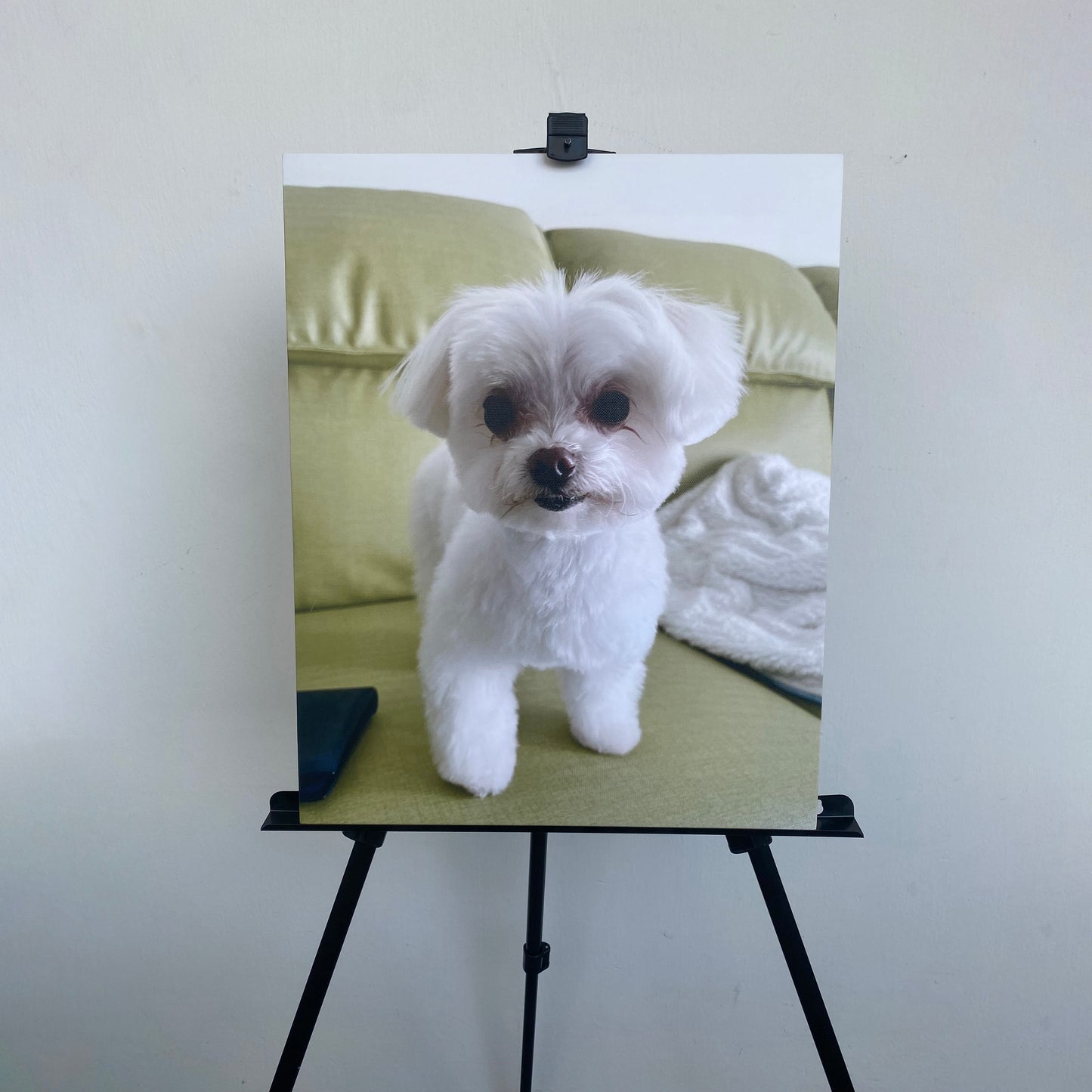 Custom Photo Canvas Print (Gift Voucher Redemption)