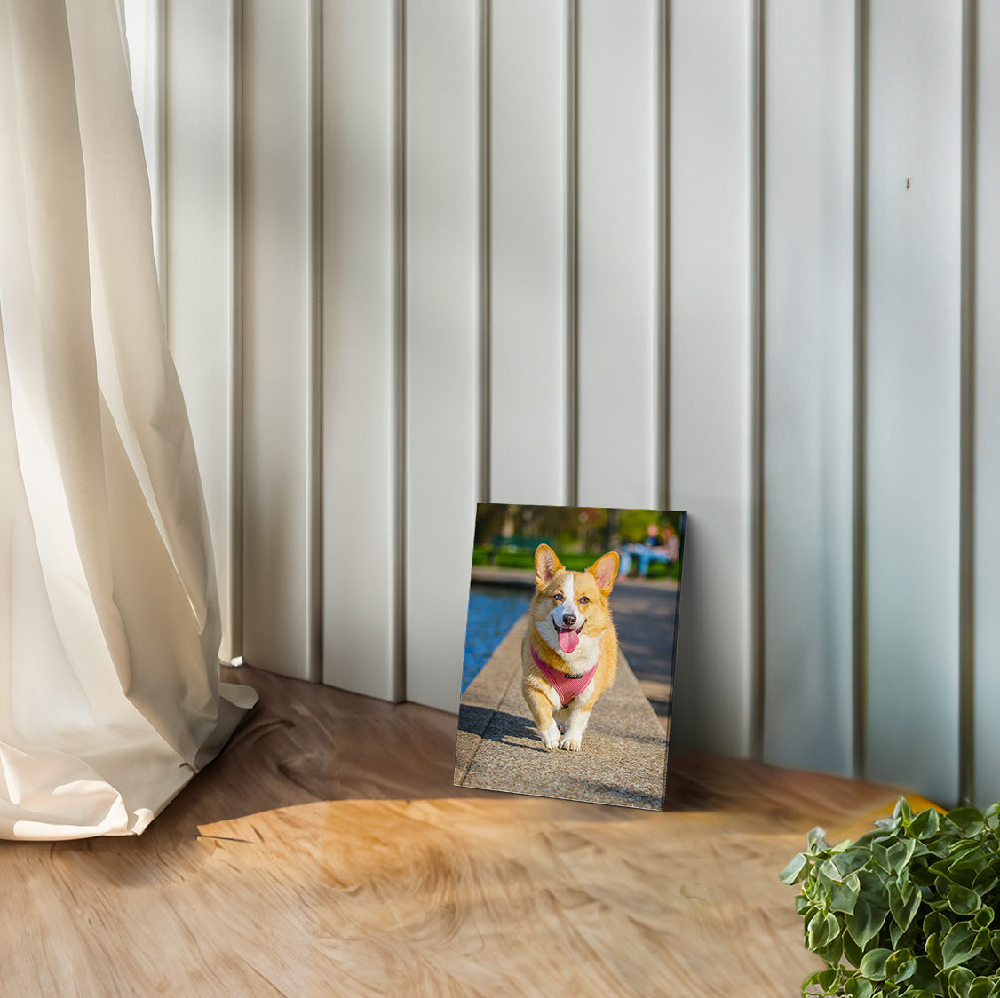 Custom Photo Canvas Print (Gift Voucher Redemption)