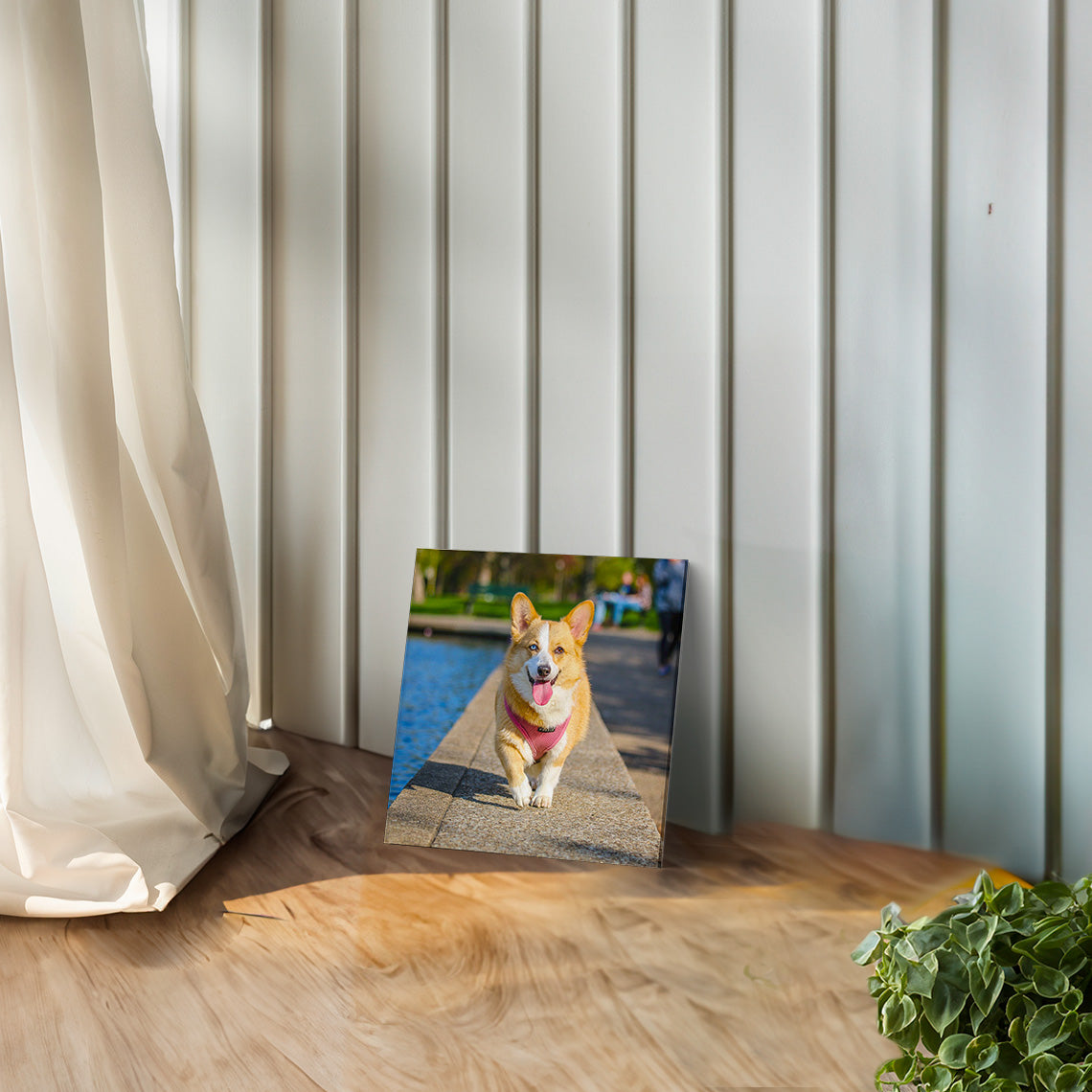 Custom Photo Canvas Print (Gift Voucher Redemption)
