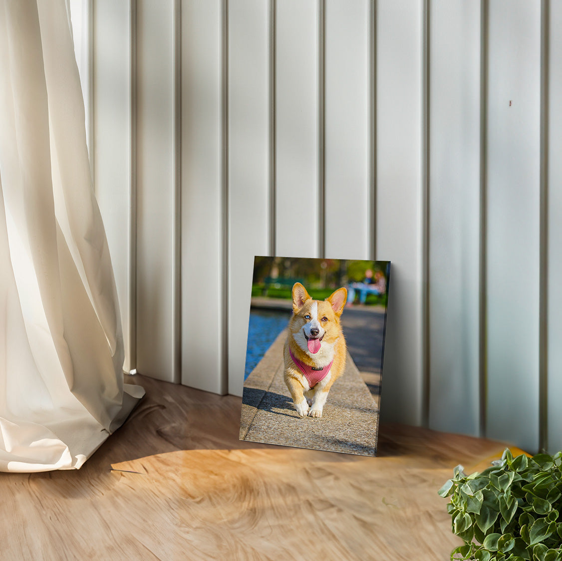 Custom Photo Canvas Print (Gift Voucher Redemption)