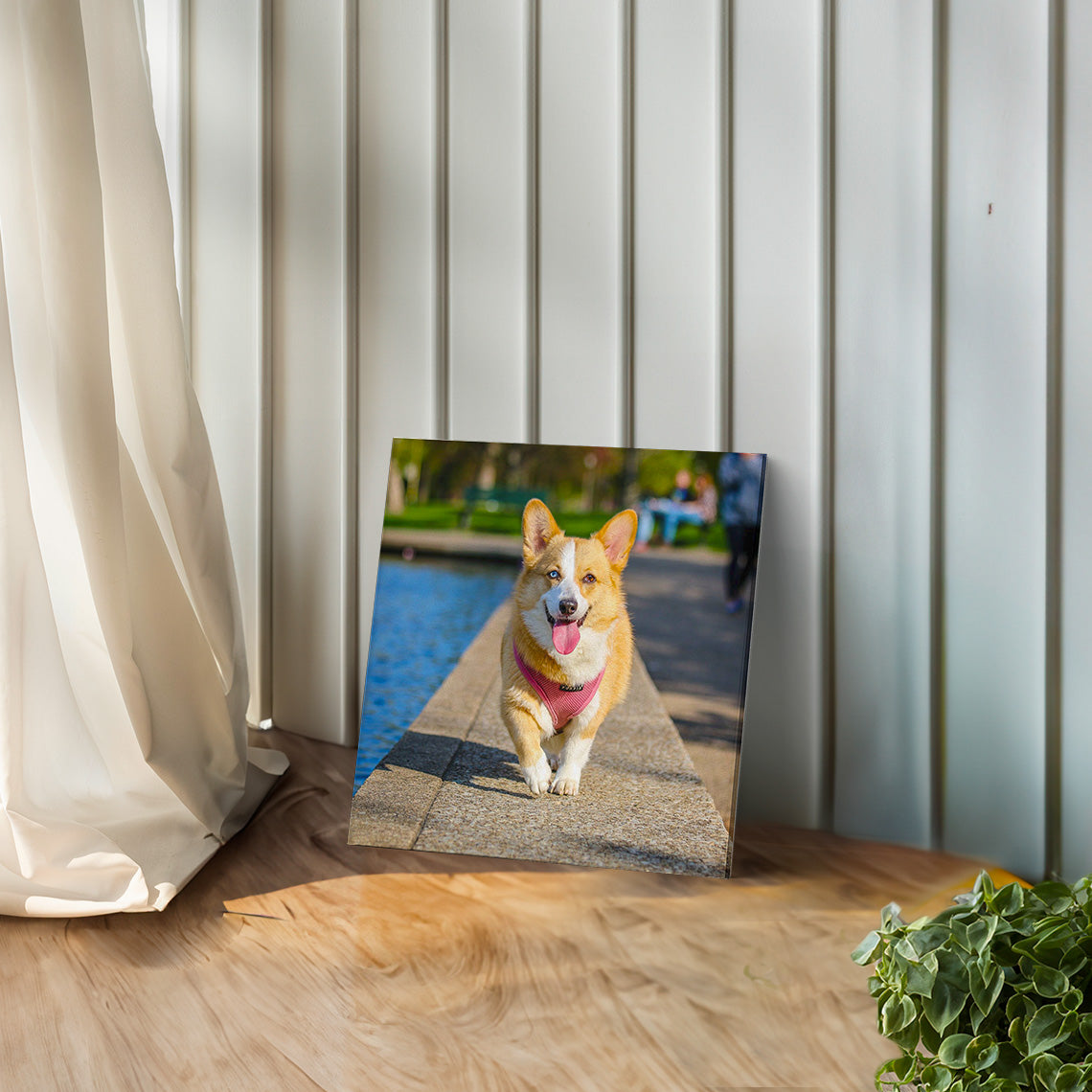 Custom Photo Canvas Print (Gift Voucher Redemption)