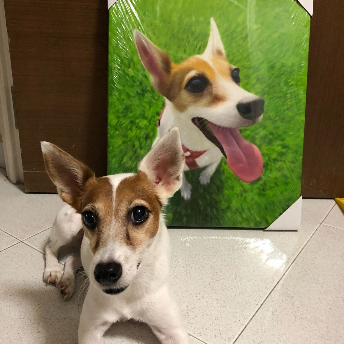 Oil Painting Pet & Human Portraits