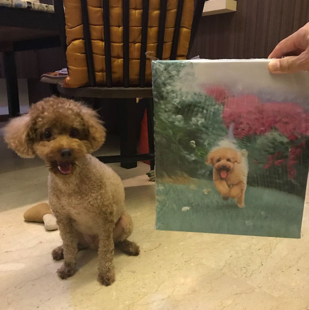 Oil Painting Pet & Human Portraits