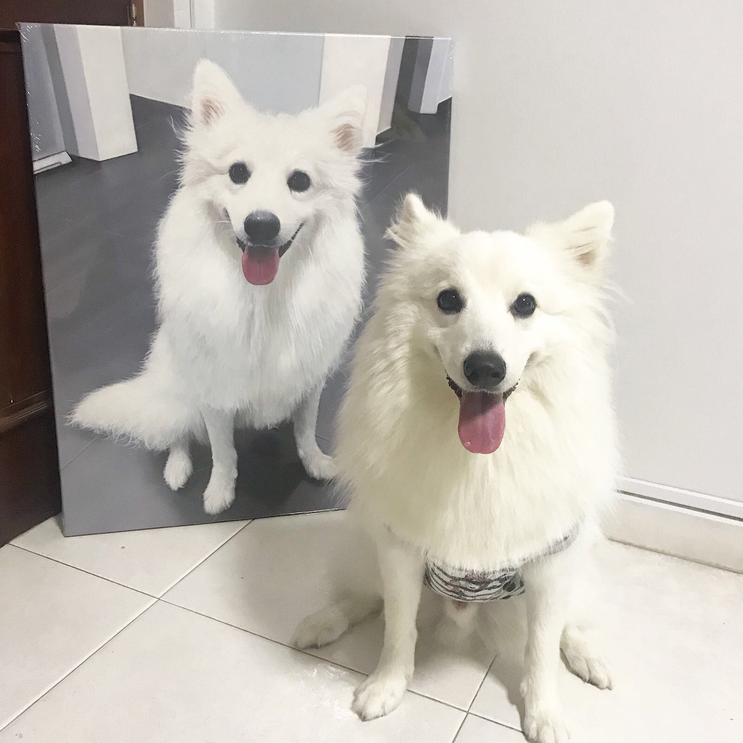 Oil Painting Pet & Human Portraits