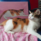 Custom Hand-Painted Oil Painting (Curbside Exclusive)