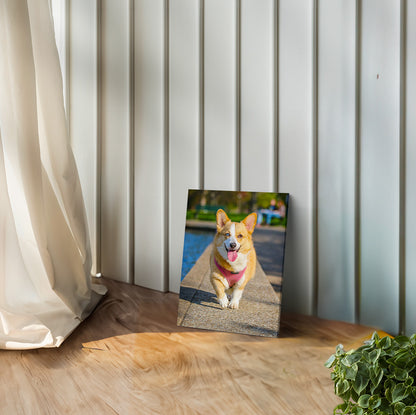 Pet & Human Custom Canvas Prints