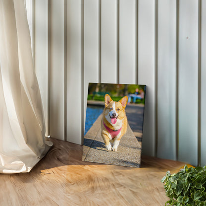 Pet & Human Custom Canvas Prints