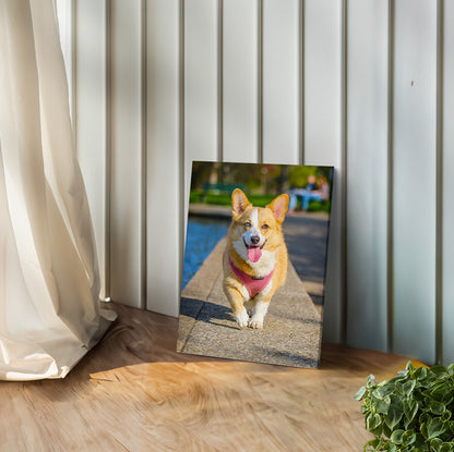 Pet & Human Custom Canvas Prints