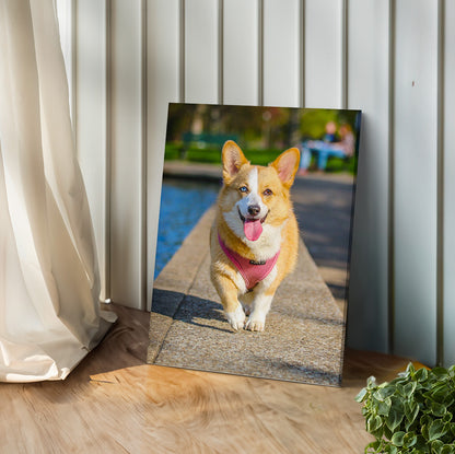 Pet & Human Custom Canvas Prints