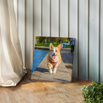 Custom Photo Canvas Print (Instinct Exclusive)