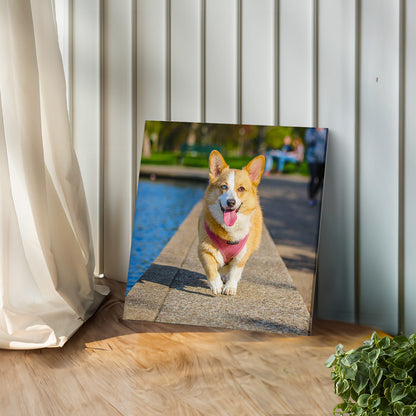 Custom Photo Canvas Print (Instinct Exclusive)