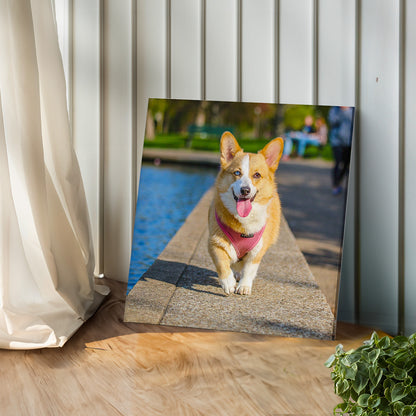 Custom Photo Canvas Print (Louisa Violet Exclusive)